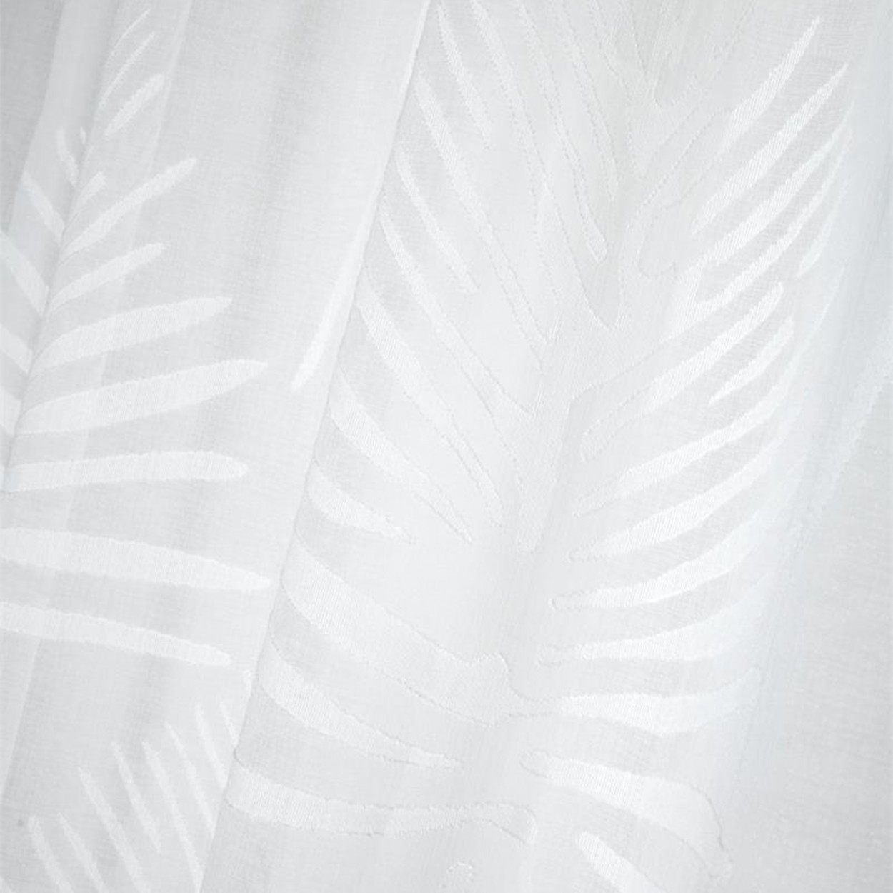 Cortina JOM MANSOURAH