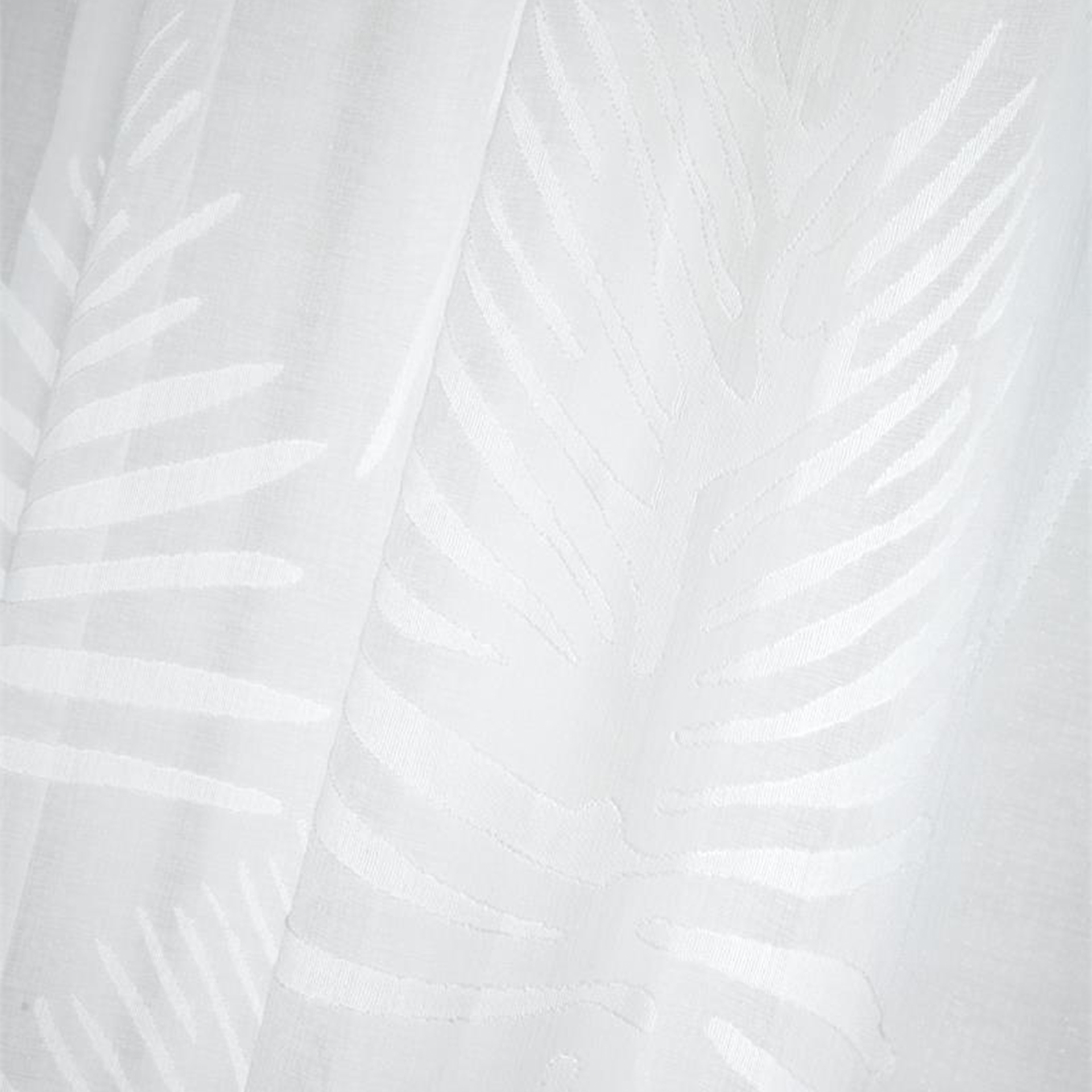 Cortina JOM MANSOURAH