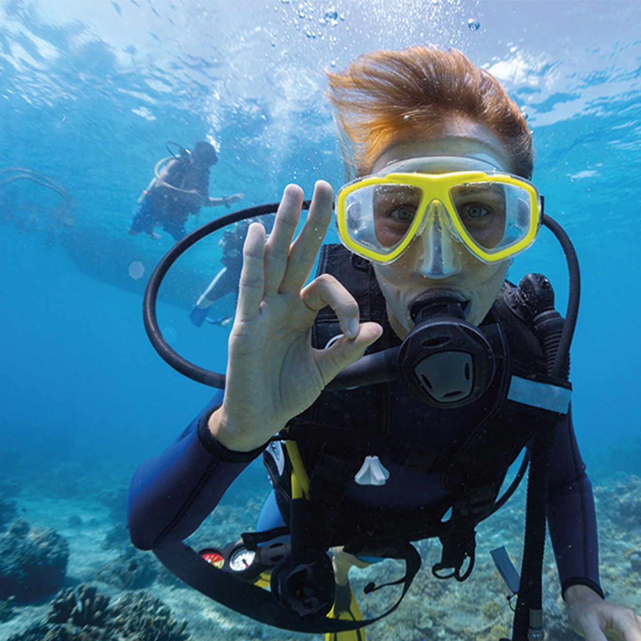 PACK ODISSEIAS VOAR SEM LIMITES