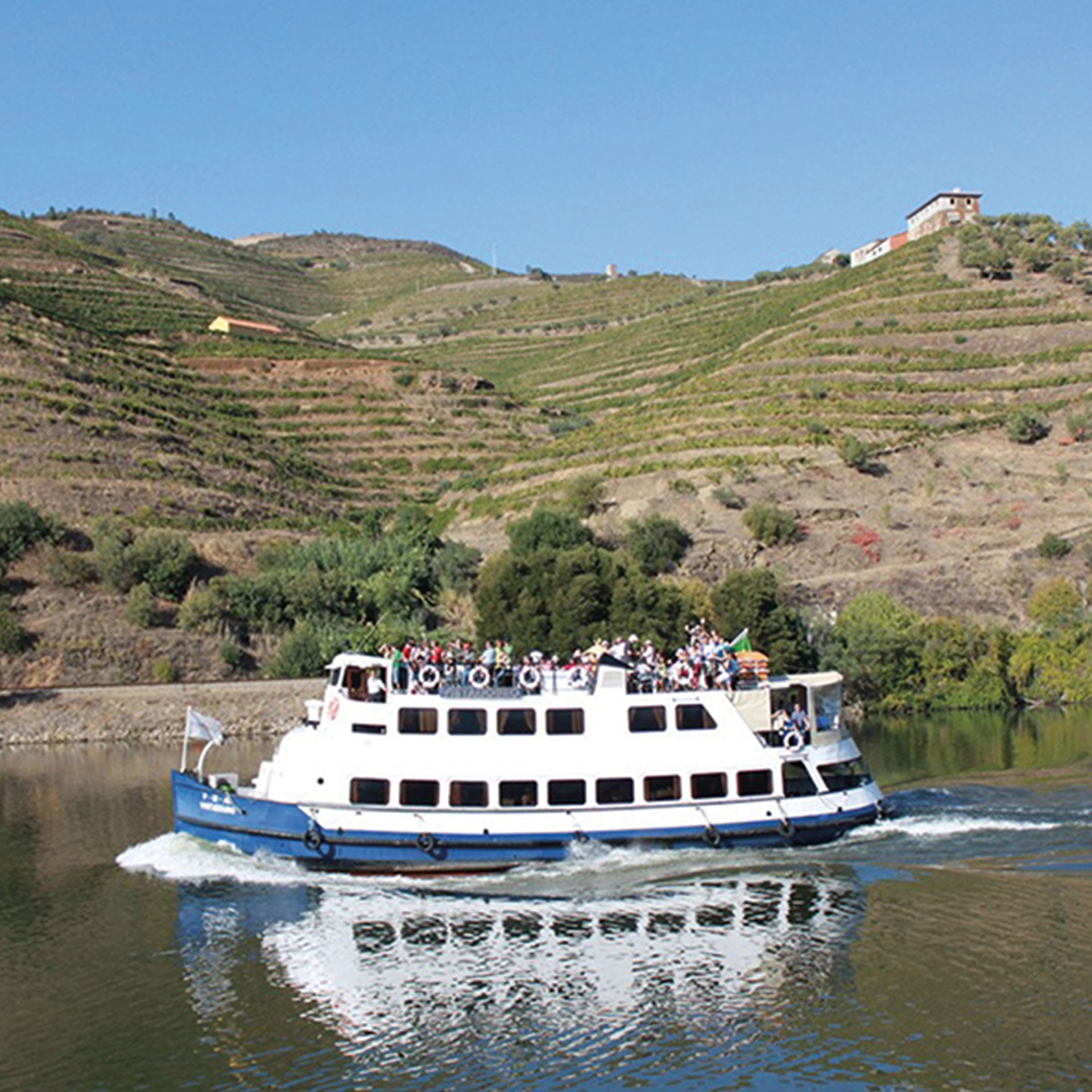 PACK ODISSEIAS VOAR SEM LIMITES