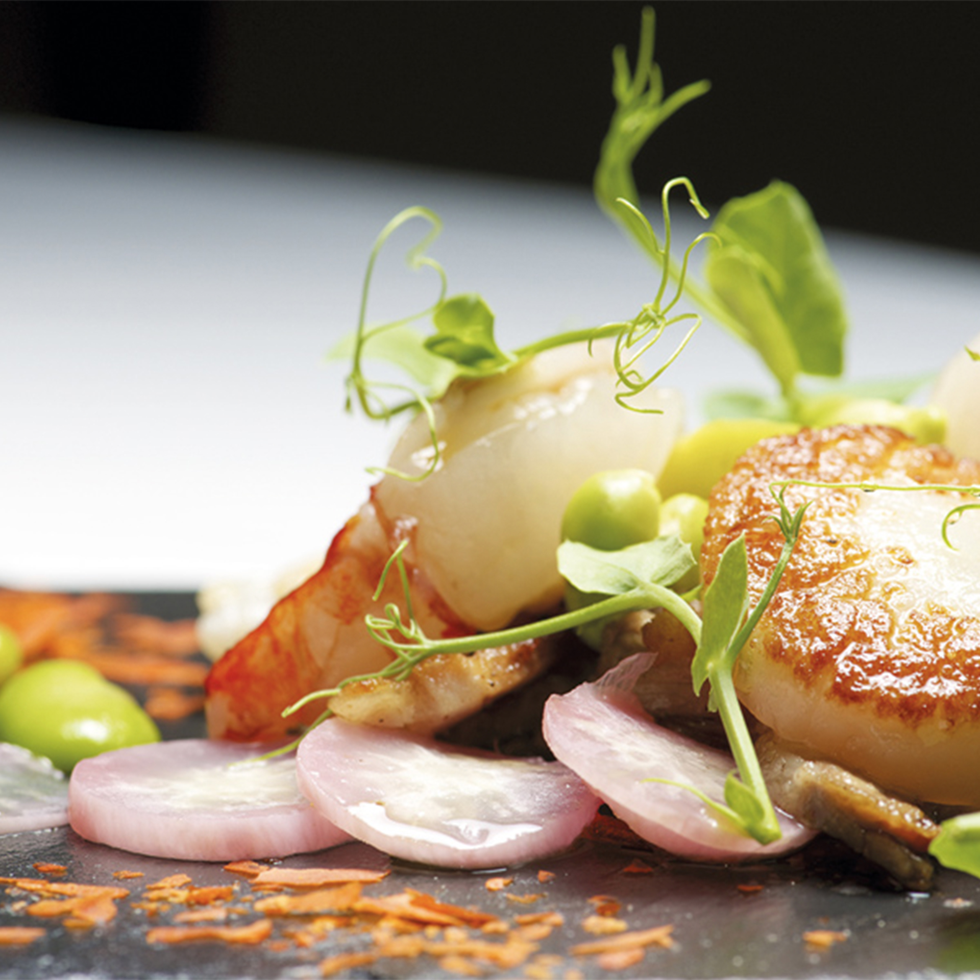 PACK ODISSEIAS MIL MOMENTOS INESQUECIVEIS