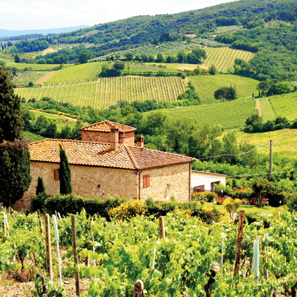 PACK ODISSEIAS FUGAS A DOIS