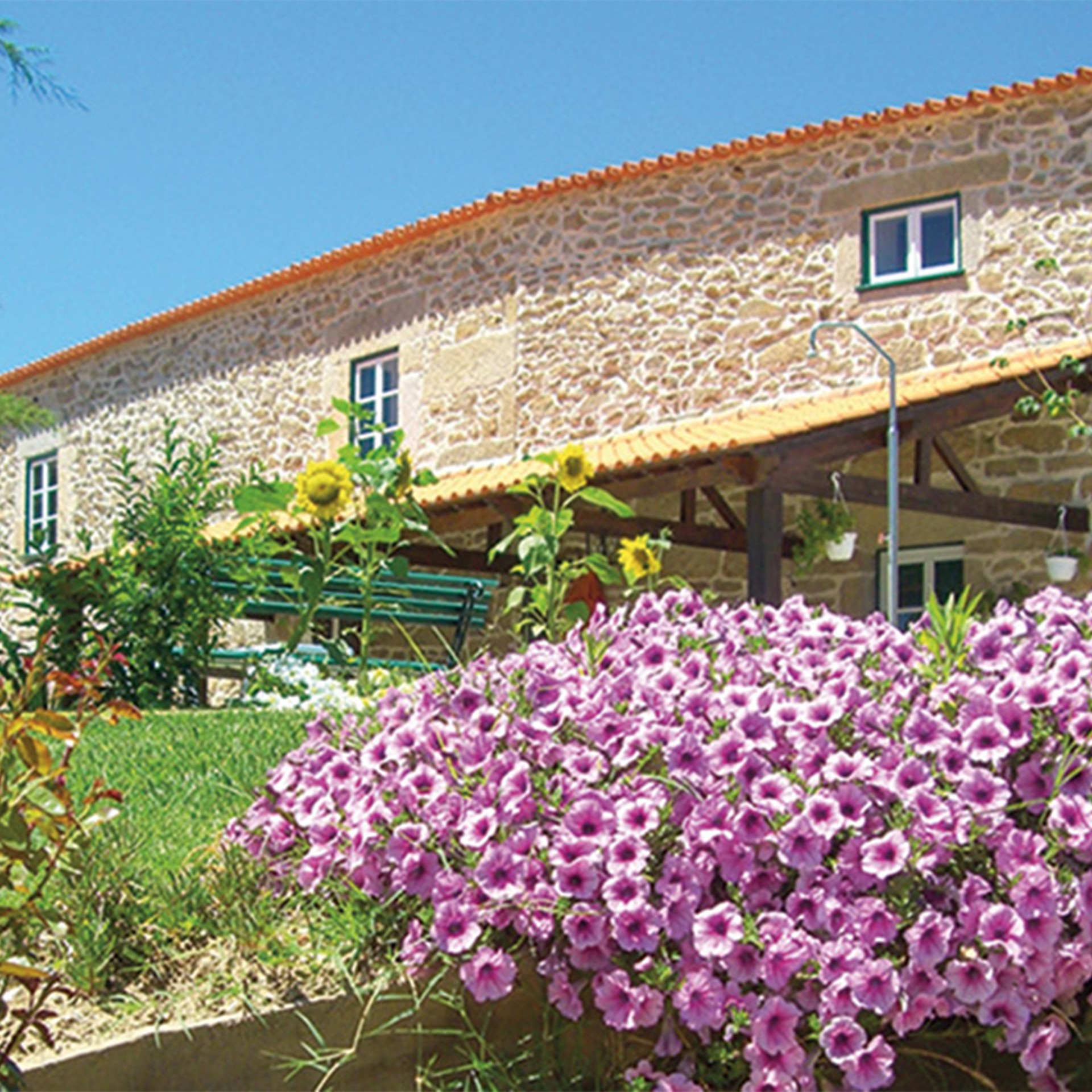 PACK ODISSEIAS FUGAS COM JANTAR