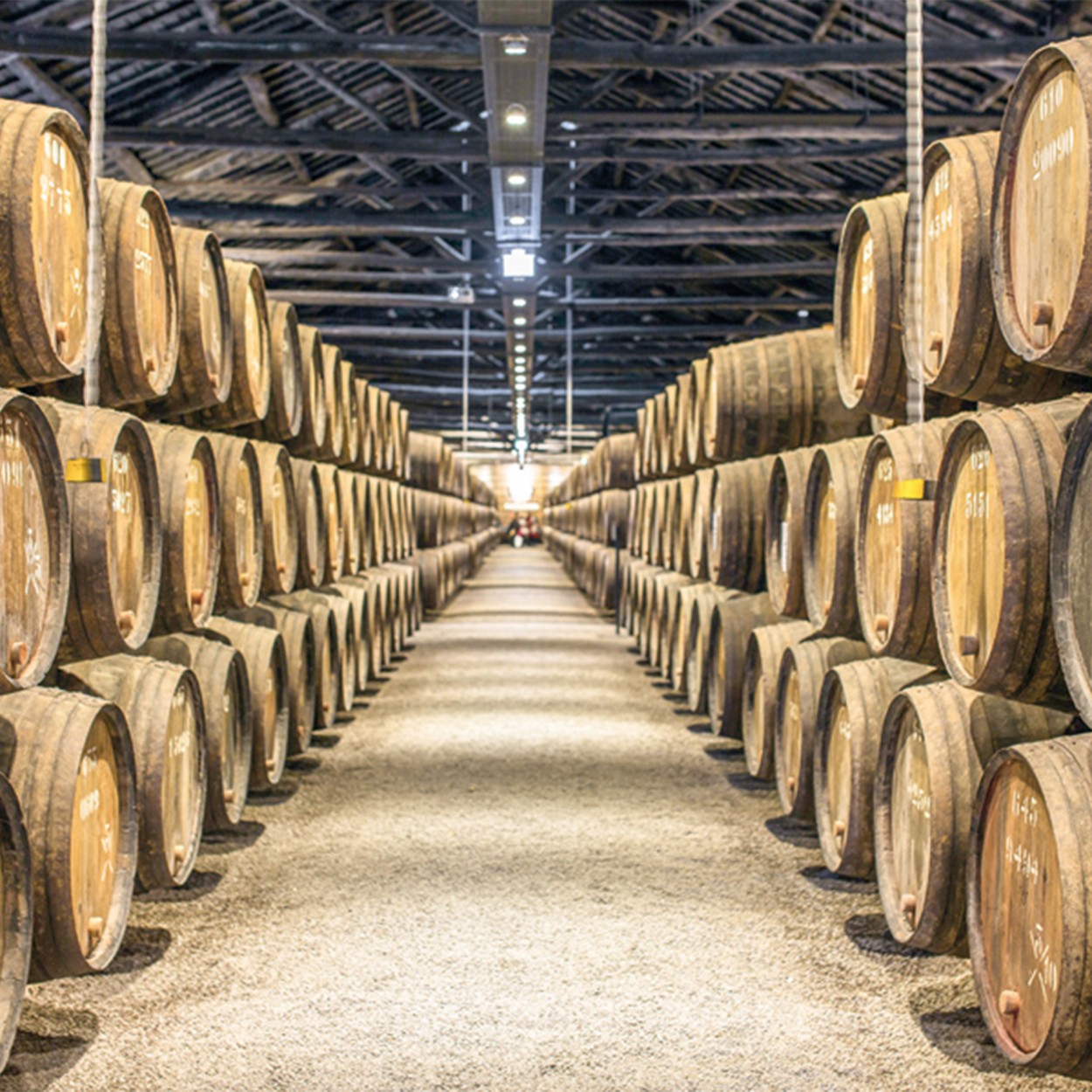 PACK ODISSEIAS TASCAS E PETISCOS A DOIS