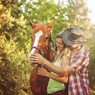 PACK ODISSEIAS SURPRESA E EMOÇAO A DOIS PACK ODISSEIAS SURPRESA E EMOÇAO A DOIS