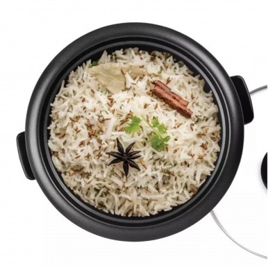 ARROZEIRA UFESA AR4010 JASMIN