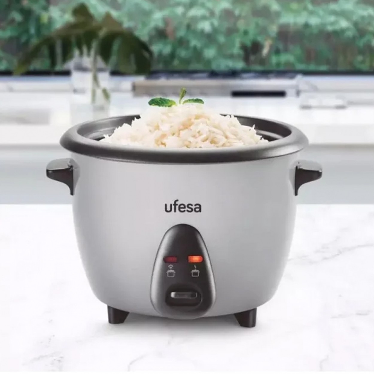 ARROZEIRA UFESA AR4010 JASMIN