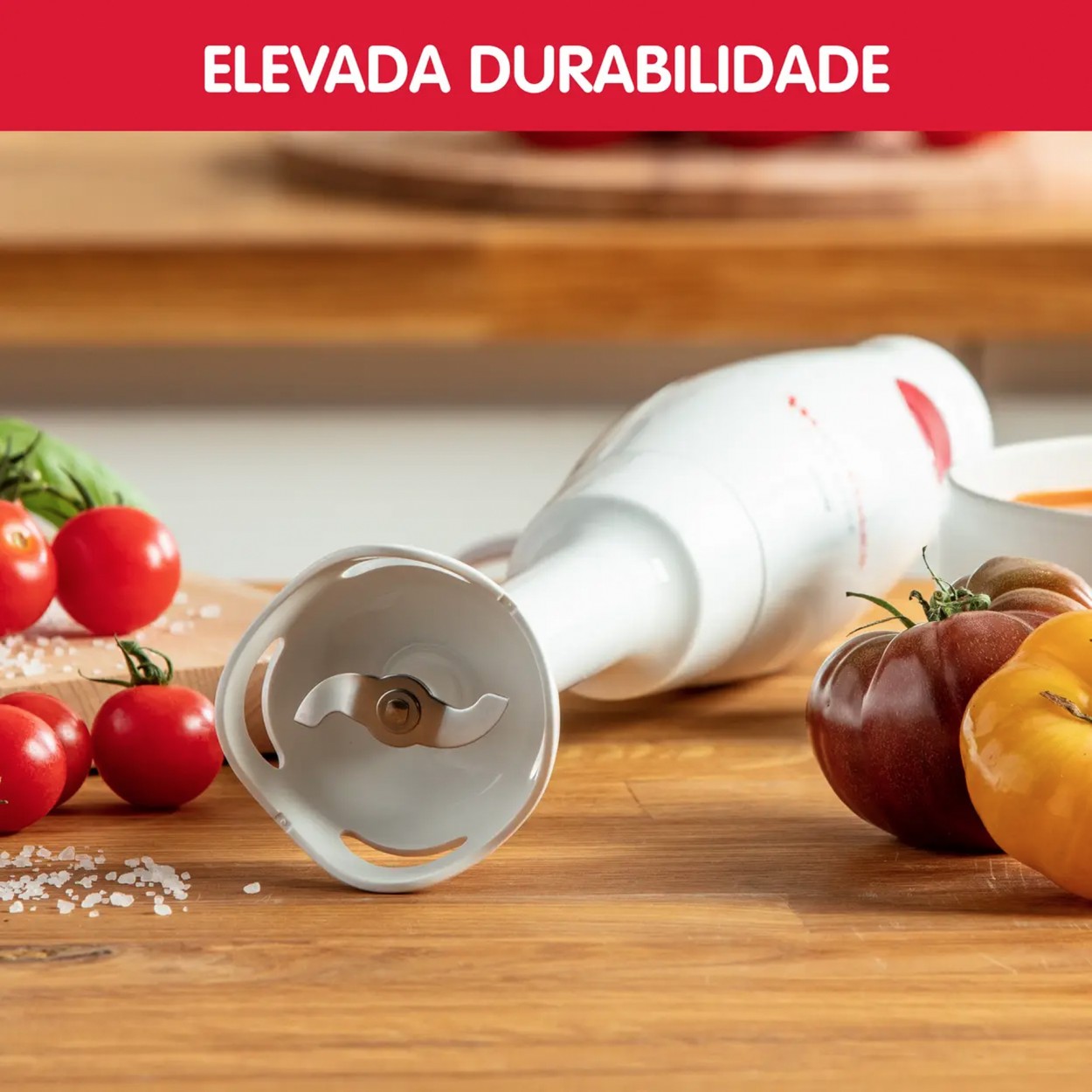 Varinha MOULINEX DD12Q110
