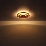 Candeeiro teto GLOBO 48465-24 HEDA