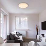 Candeeiro teto GLOBO 41310-30 OPTIMA Candeeiro teto GLOBO 41310-30 OPTIMA