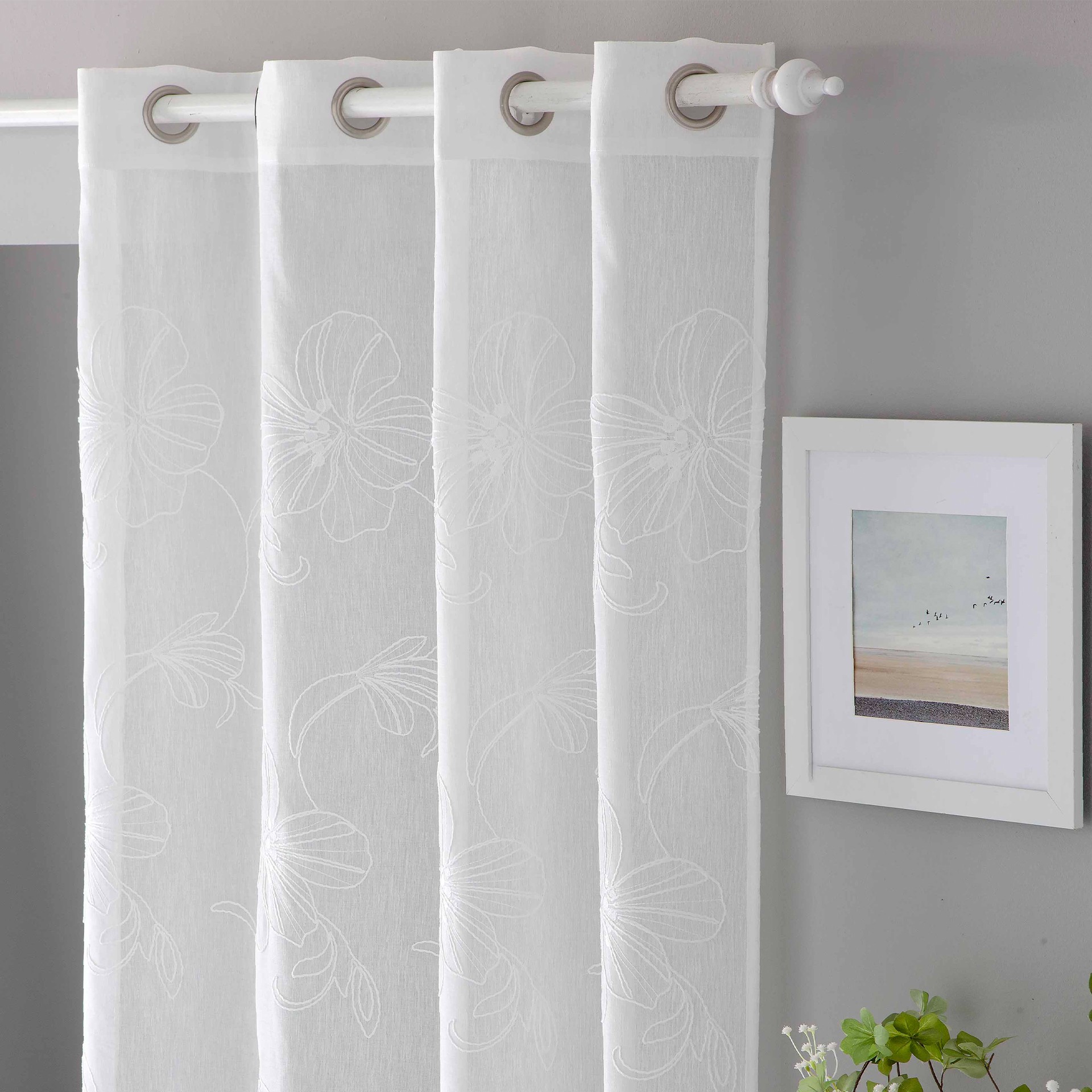 Cortina JOM IM ANALIS