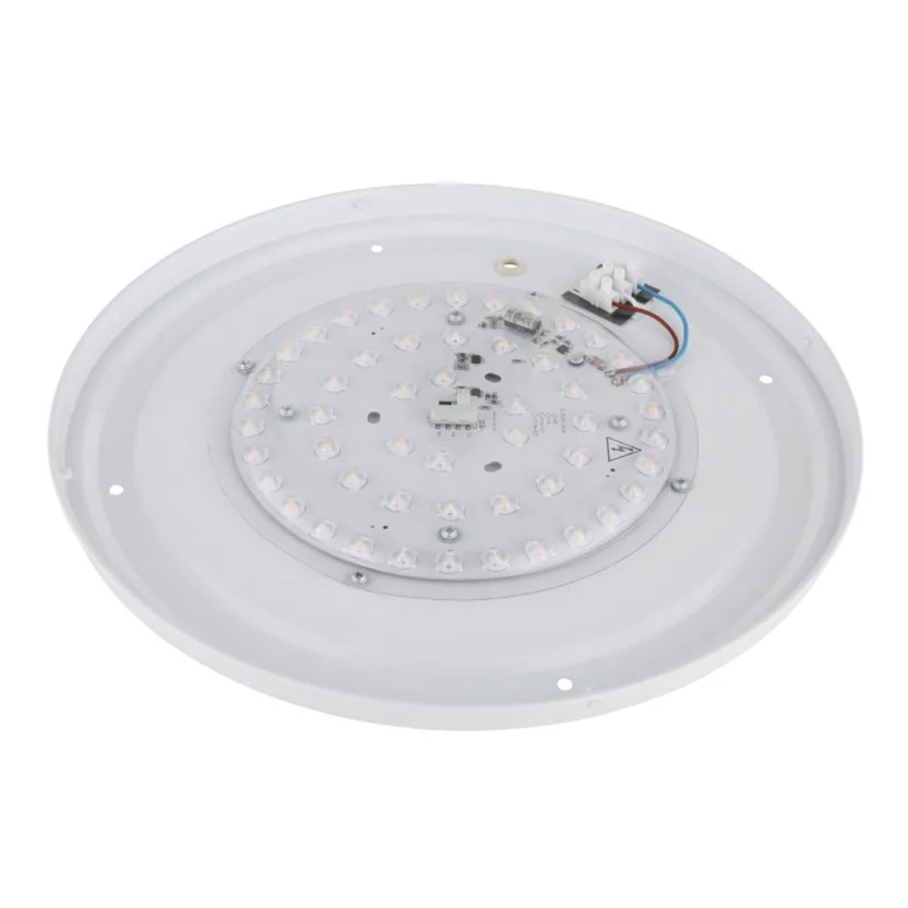 Candeeeiro teto GLOBO 48036-24 FLORDELIS