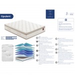 Colcho MOLAFLEX Opulent