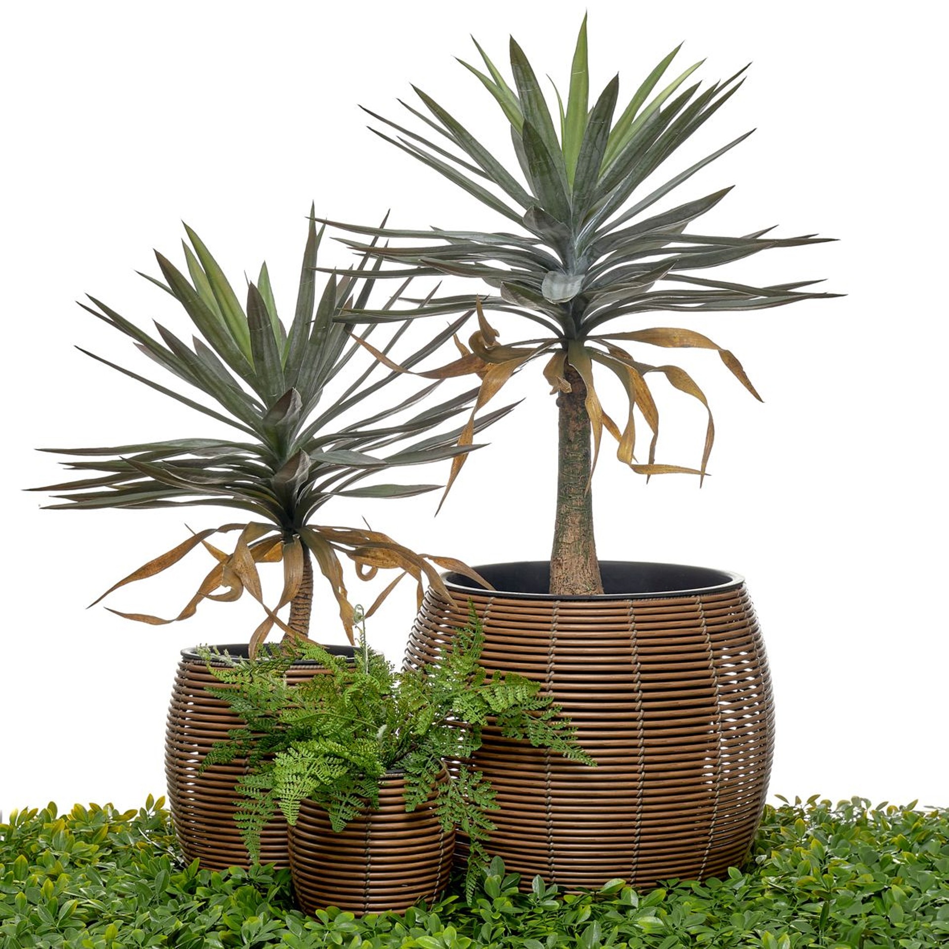 Conjunto 3 vasos JOM 45214 POLYRATTON