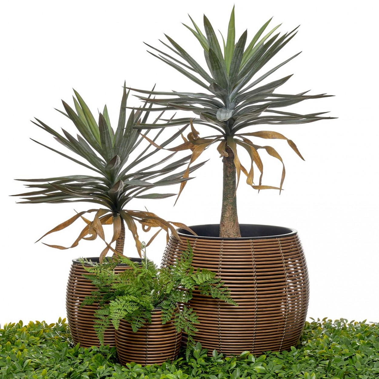 Conjunto 3 vasos JOM 45214 POLYRATTON