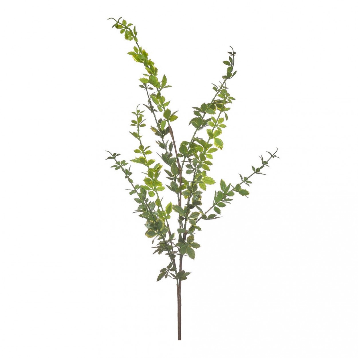 Haste folhagem JOM 42271