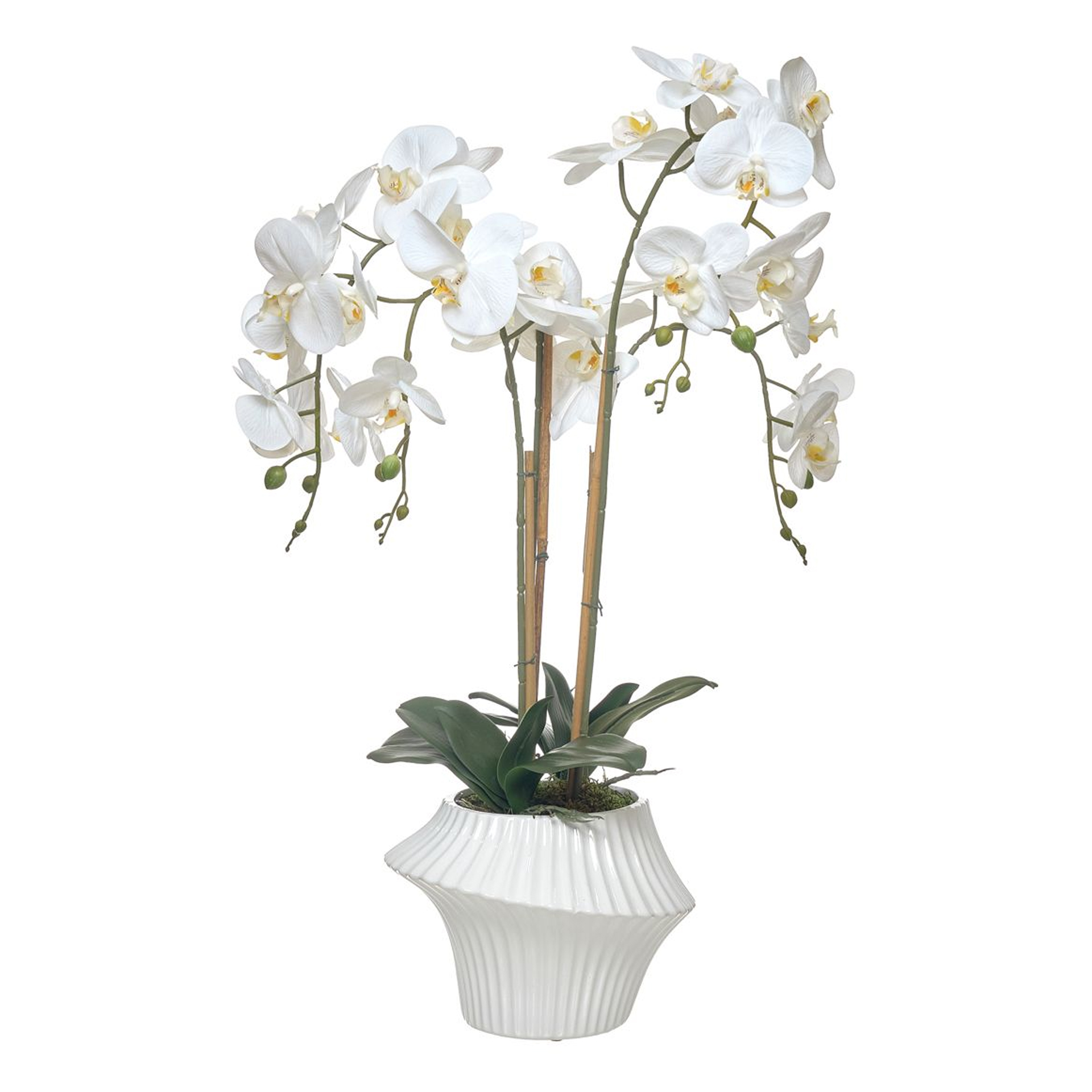 Vaso orquidea 4 caules JOM 46188