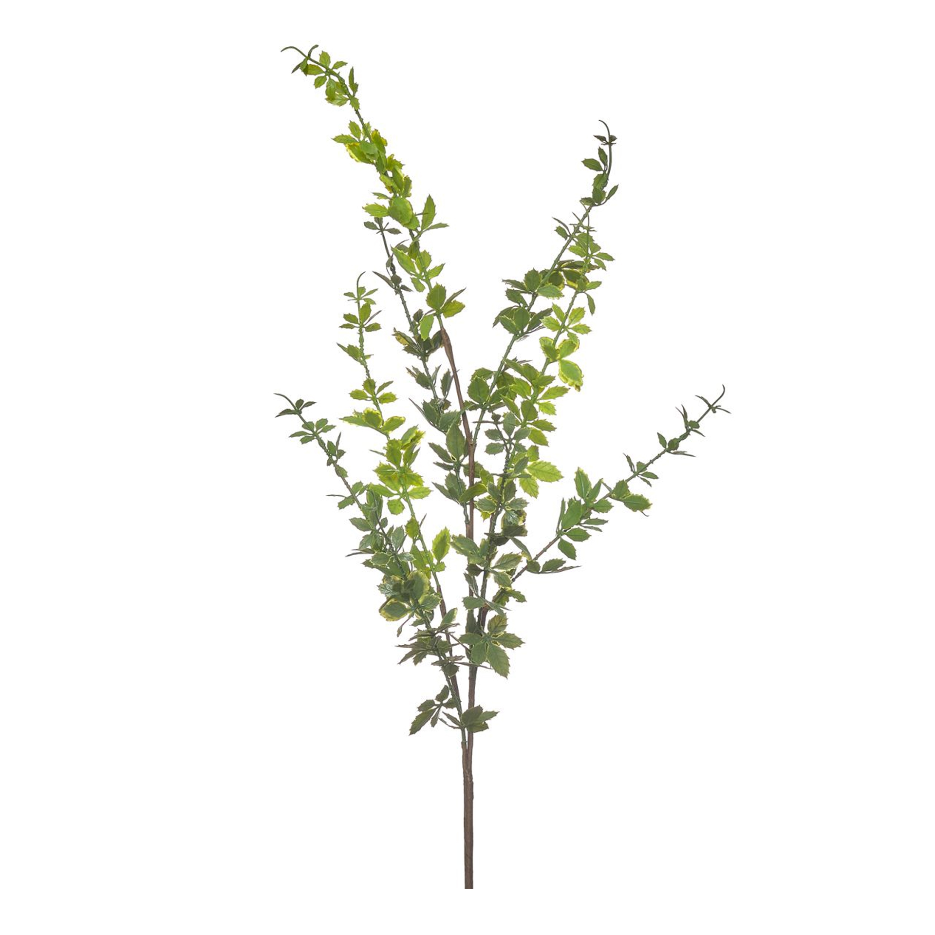 Haste folhagem JOM 42271