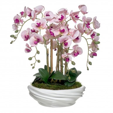 Vaso orquidea 6 caules JOM 46161