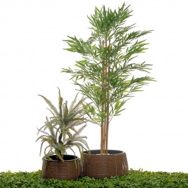 Conjunto 2 vasos JOM 45215 POLYRATTON