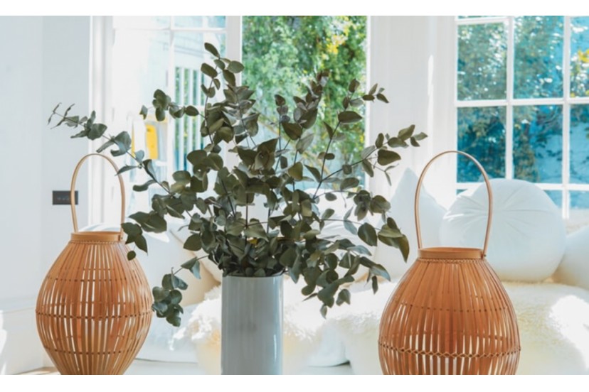 Prepare a sua casa para receber a primavera