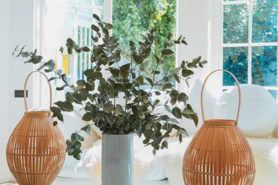 Prepare a sua casa para receber a primavera