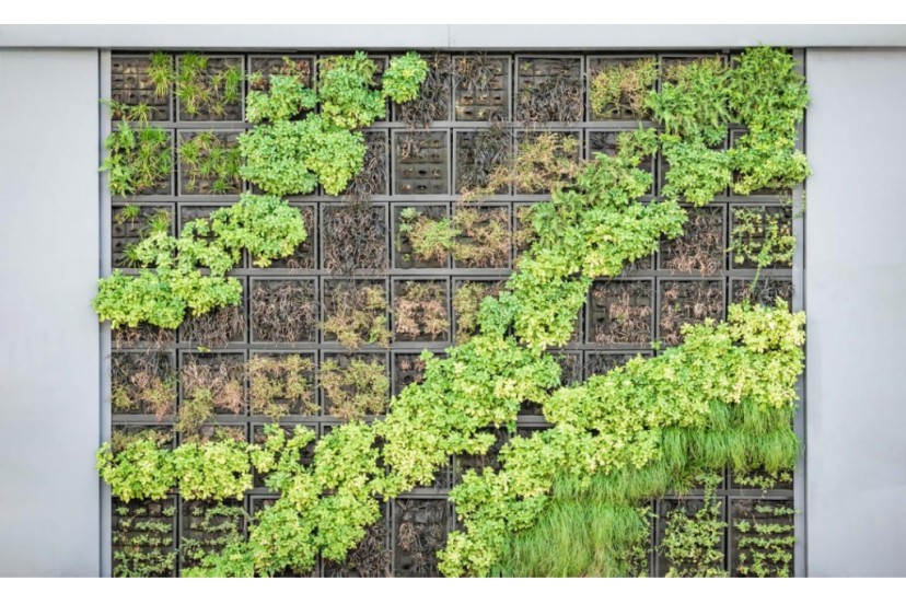 Como construir um jardim vertical dentro de casa