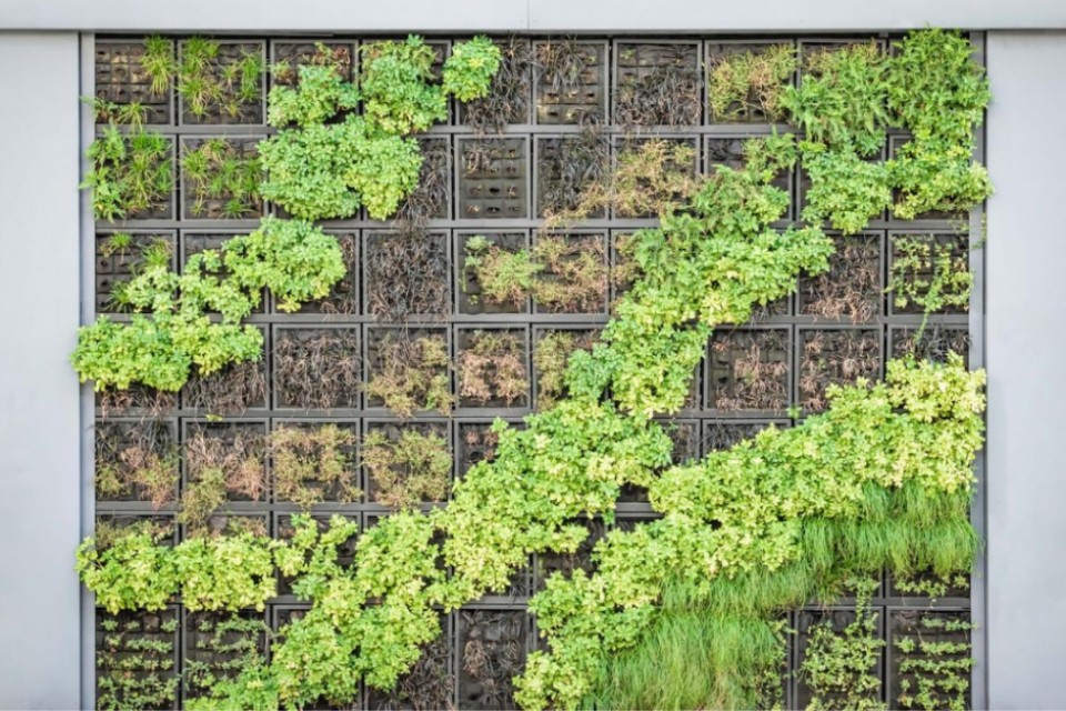 Como construir um jardim vertical dentro de casa