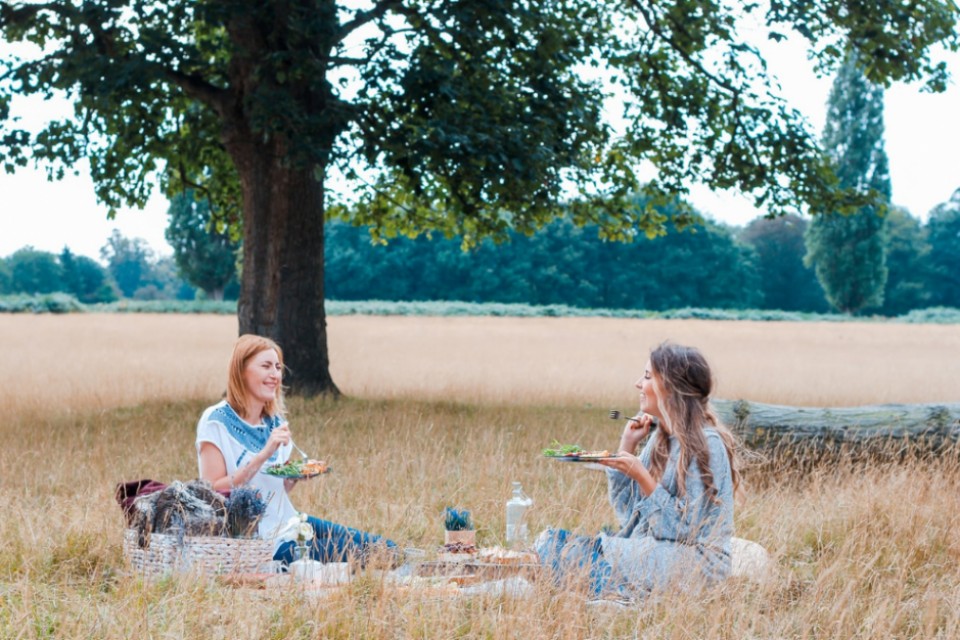 Dicas para organizar um piquenique no ver�o