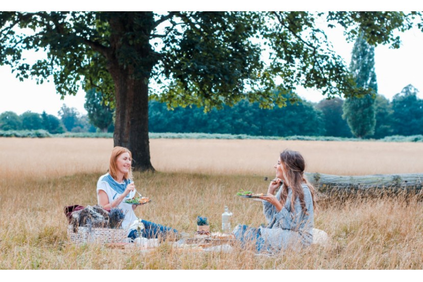 Dicas para organizar um piquenique no ver�o