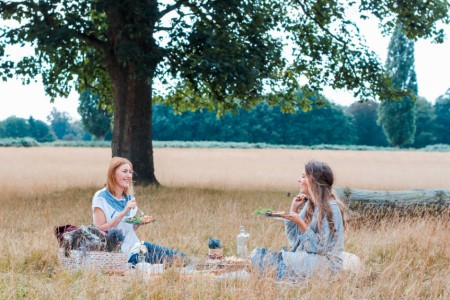 Dicas para organizar um piquenique no verão Dicas para organizar um piquenique no verão