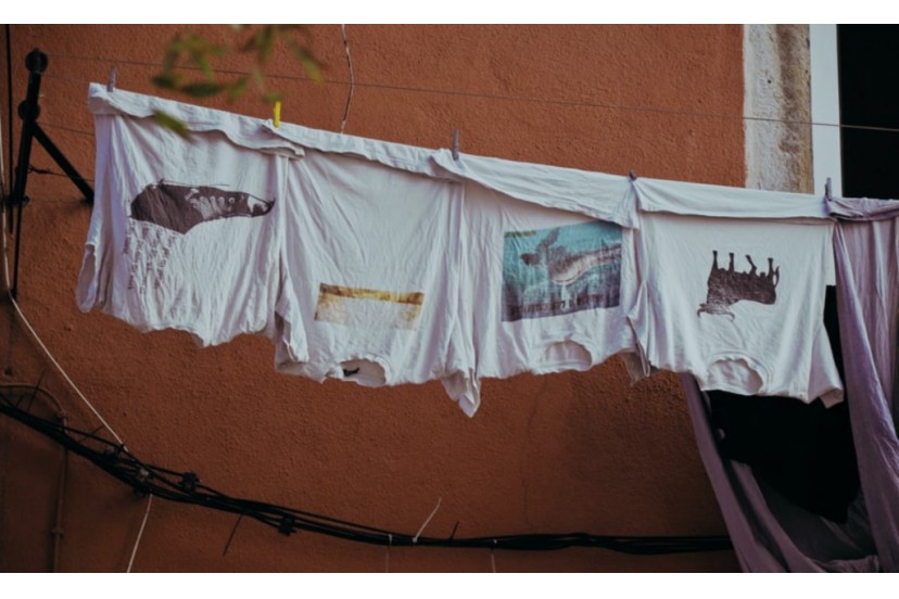 Como tirar bolor da roupa: dicas teis