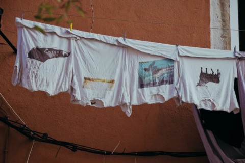 Como tirar bolor da roupa: dicas úteis