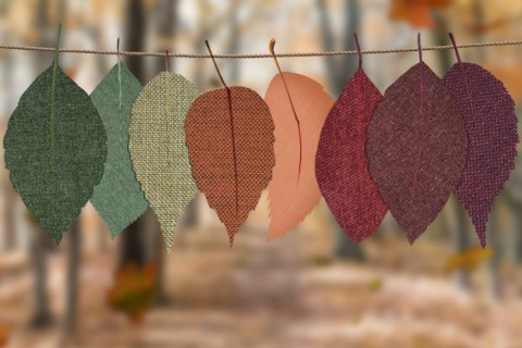 6 dicas de decoração de outono para receber a nova estação