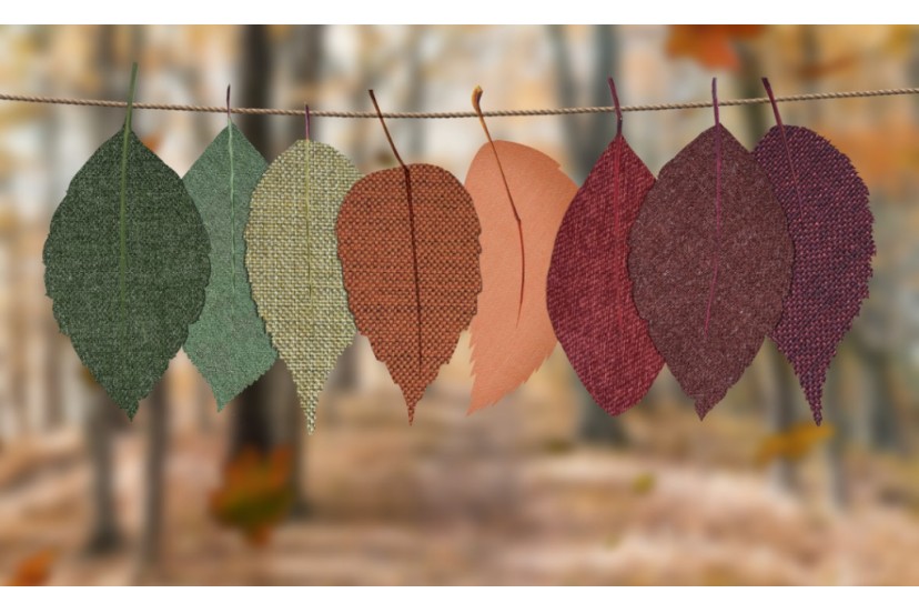 6 dicas de decorao de outono para receber a nova estao