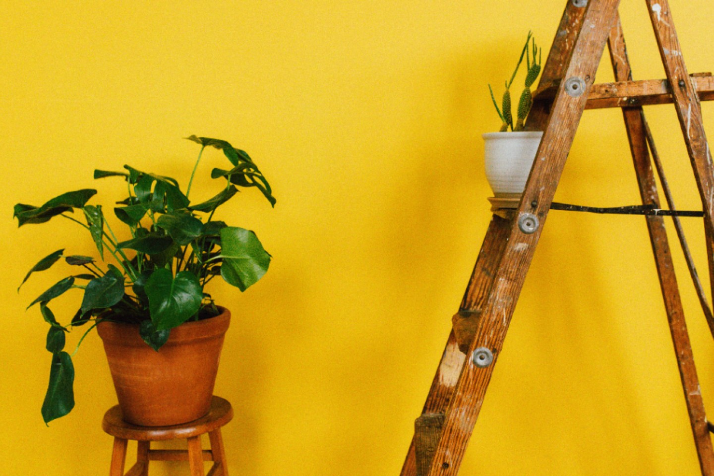 Como usar o amarelo na decoração?