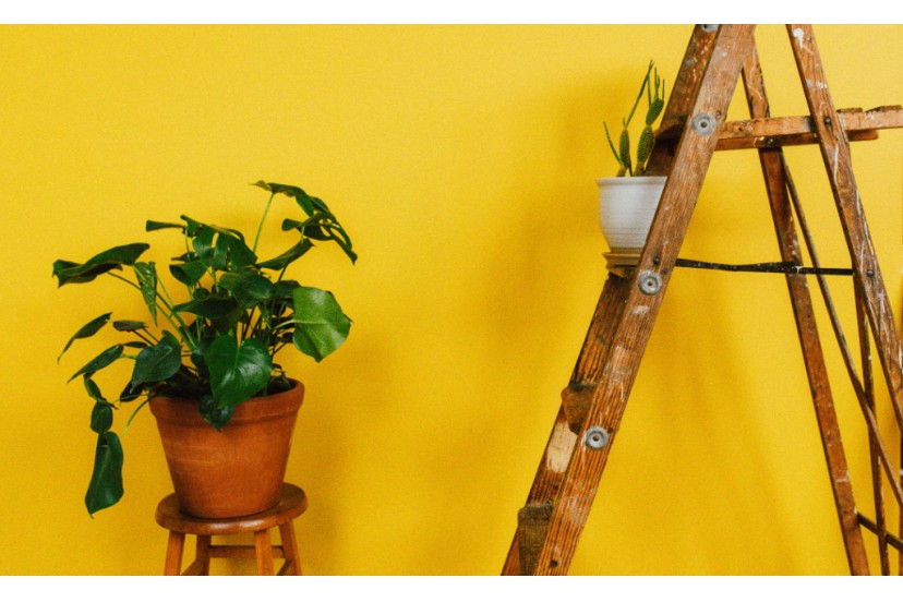 Como usar o amarelo na decoração?