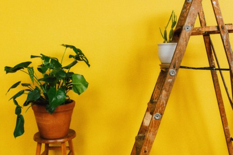 Como usar o amarelo na decoração?