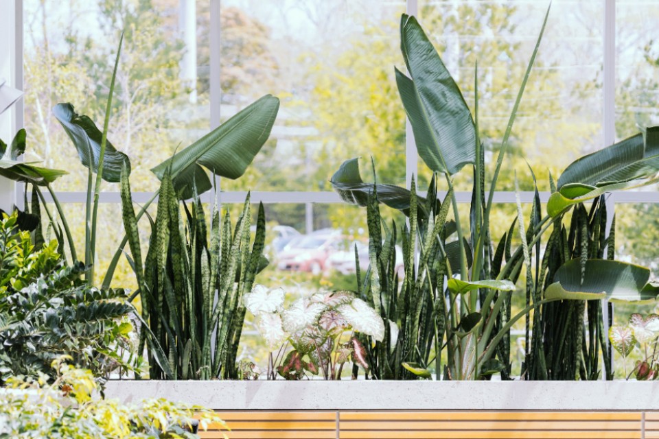 Dicas para remodelar a marquise