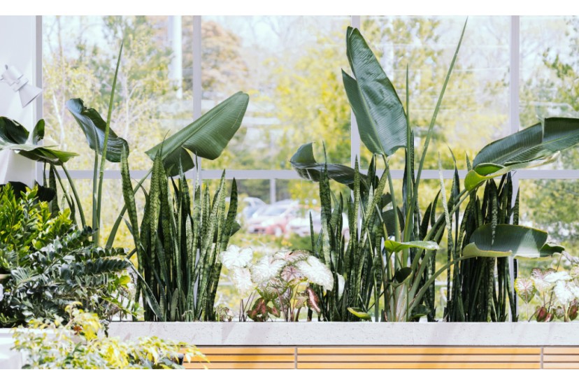 Dicas para remodelar a marquise