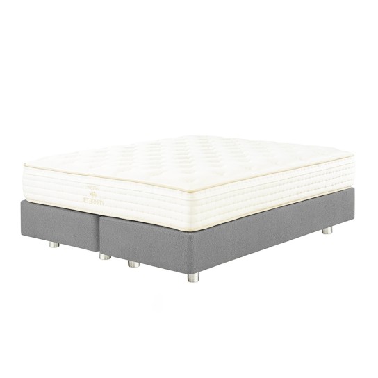 Base MOLAFLEX New Paladium Adapt - Image product