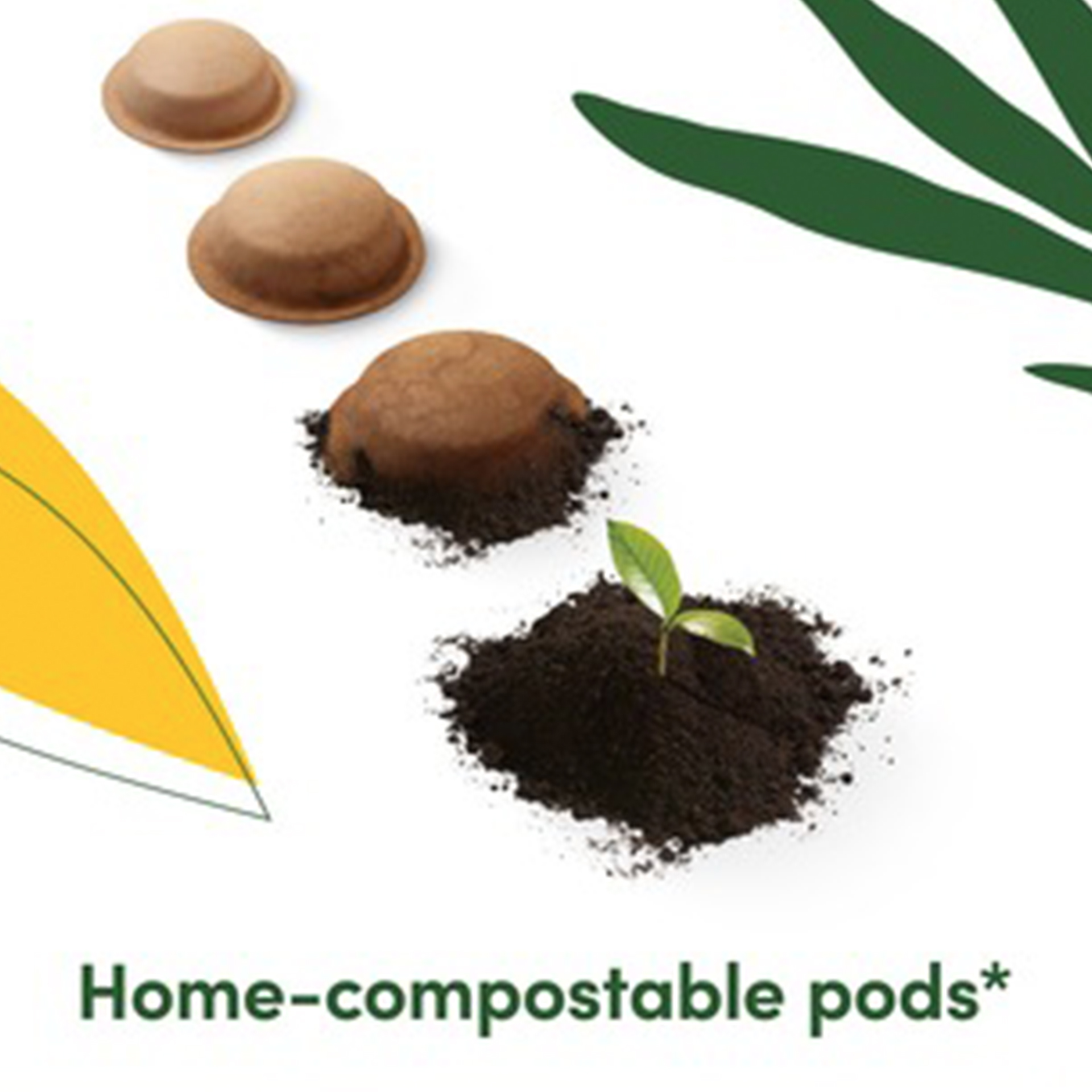 Máquina de Café KRUPS NEO EXPERT KP830810