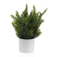 Planta decorativa JOM 2237-0027