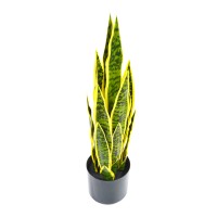 Planta JOM ESPADA SAO JORGE