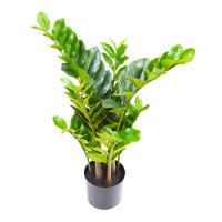 Planta artificial JOM ZAMIOCULCAS