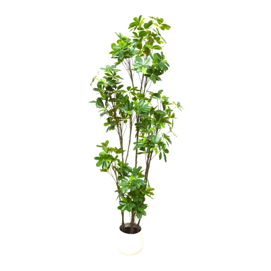 Planta artificial JOM SHEFFLERA - Image product