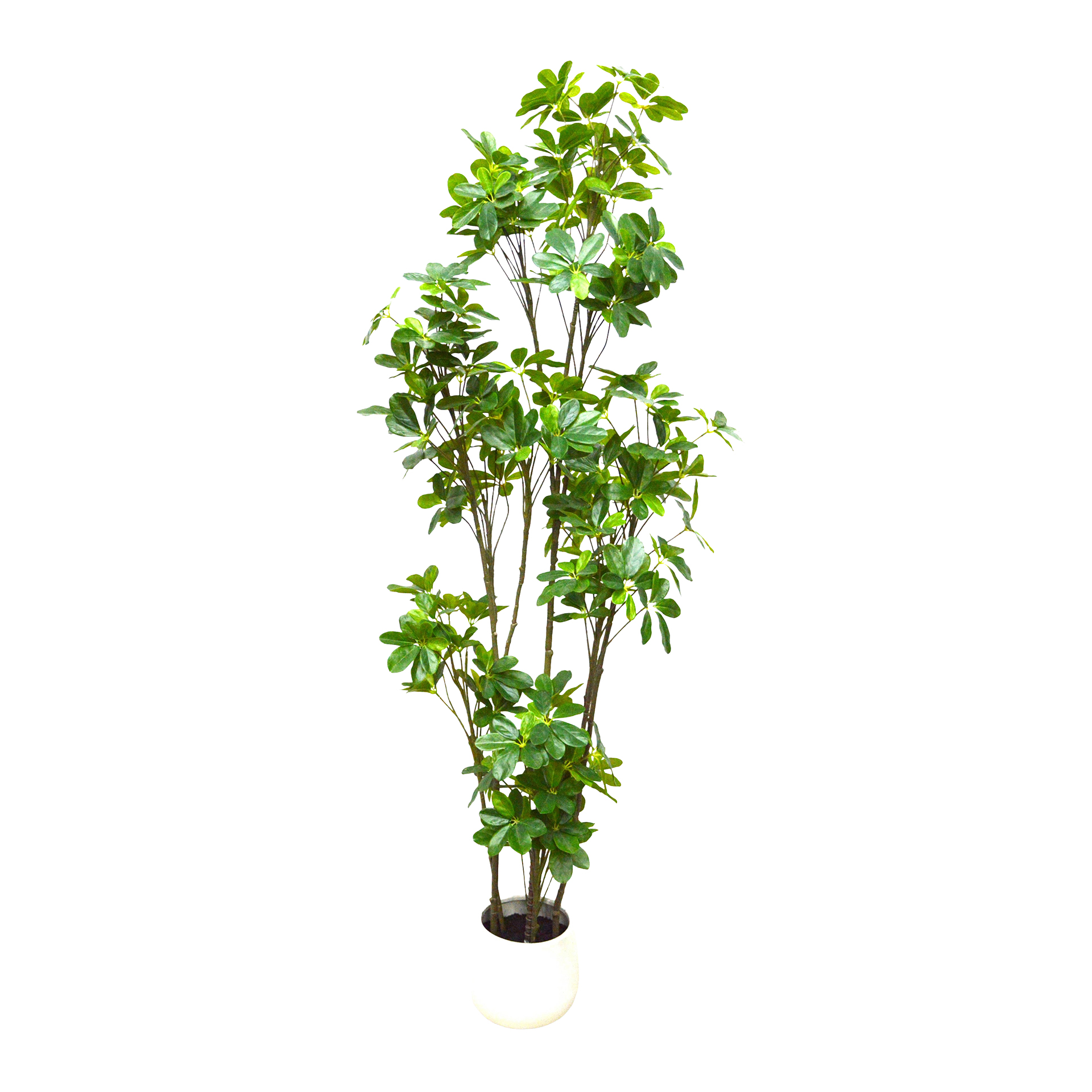 Planta artificial JOM SHEFFLERA