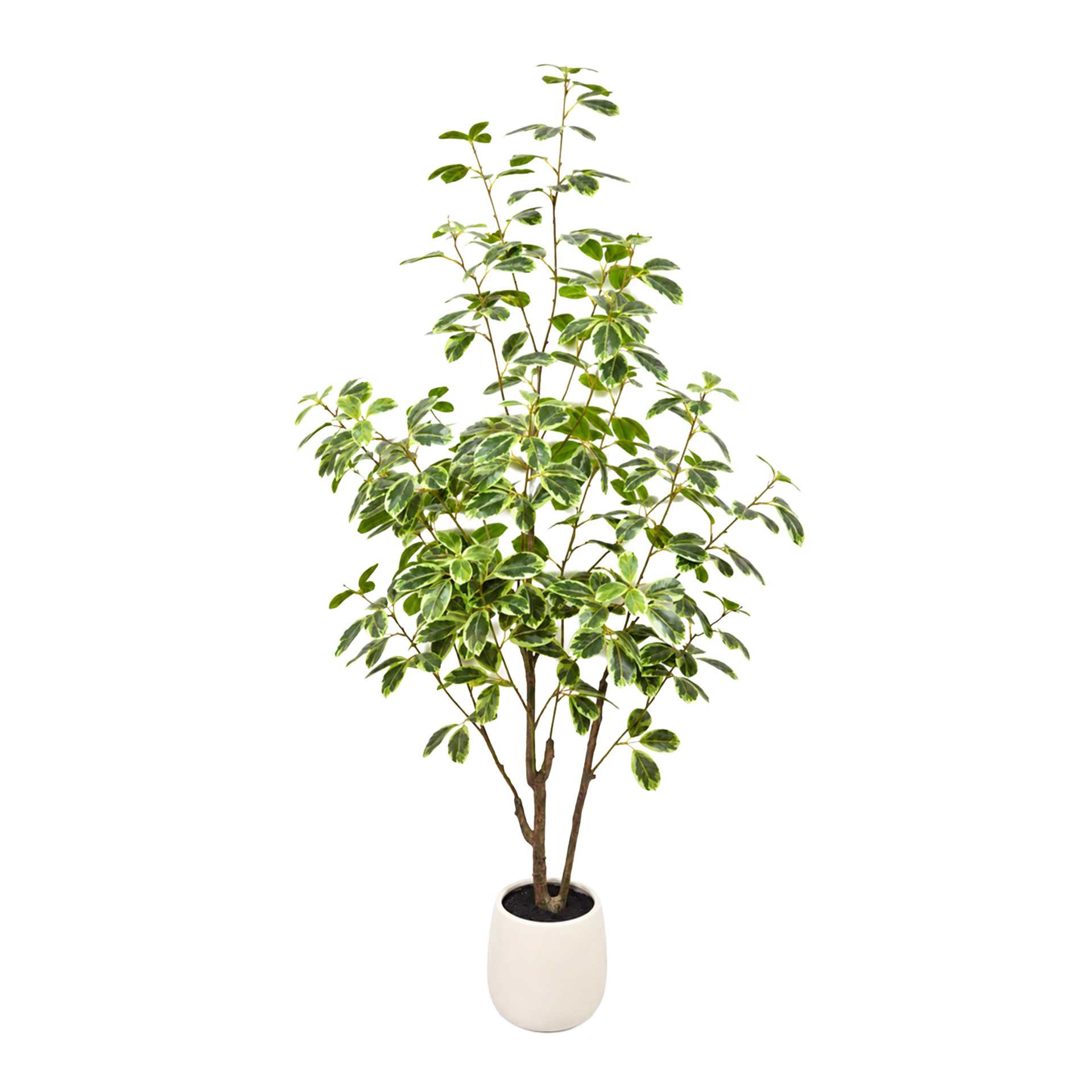 Planta artificial JOM FICUS 03-IT-77