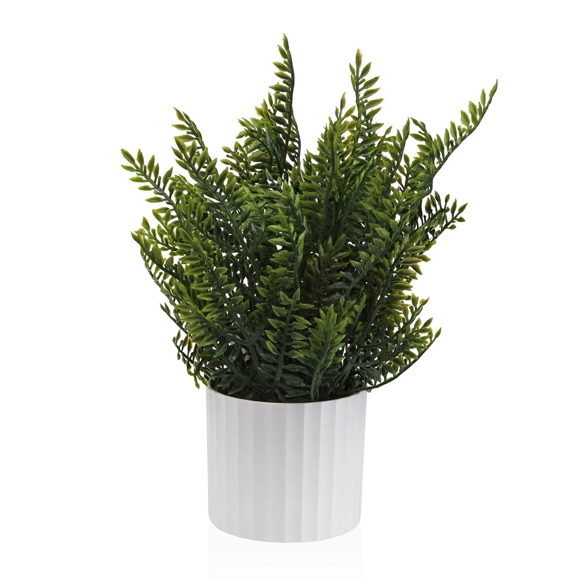 Planta decorativa JOM 2237-0027