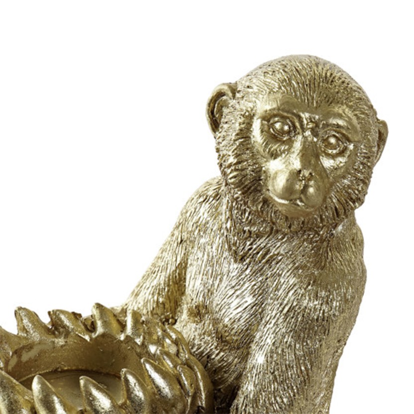 Macaco JOM FD-191125